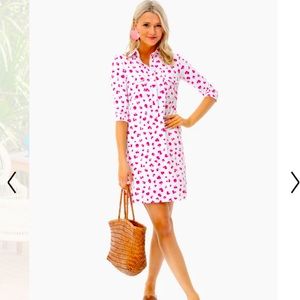 New! Tuckernuck Persifor Wildside Winpenny Dress L